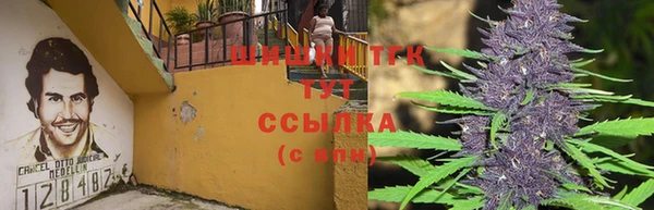 соль ск Абаза