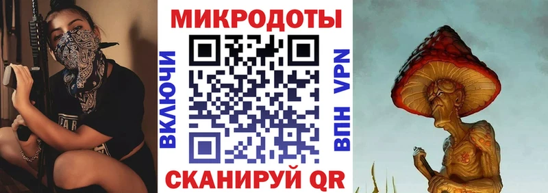 купить наркотики цена  Братск  Галлюциногенные грибы Psilocybine cubensis 