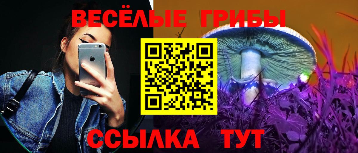 Псилоцибиновые грибы прущие грибы Братск