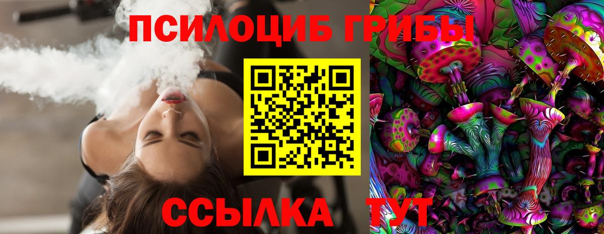 Псилоцибиновые грибы прущие грибы  Вход с VPN  Братск 